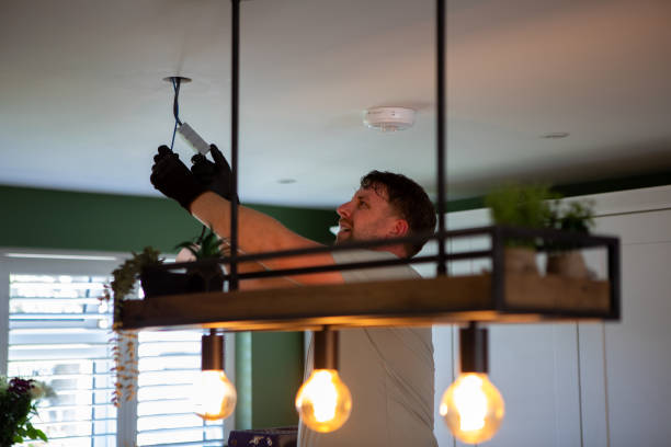 Best Ceiling Fan Installation Electrician  in International Falls, MN