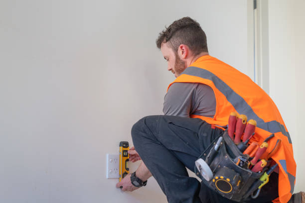 Best Electric Panel Repair  in International Falls, MN